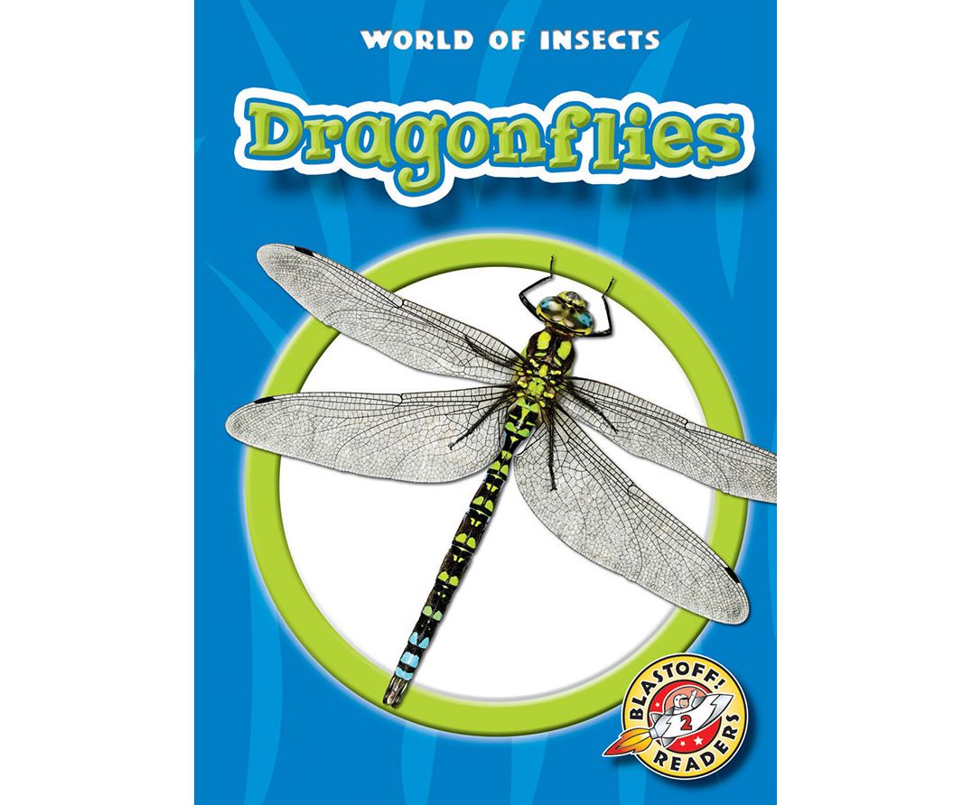 Dragonflies