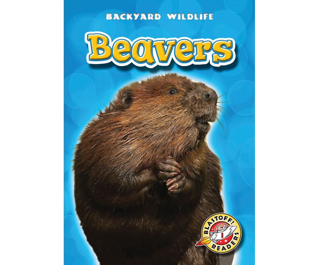 Beavers