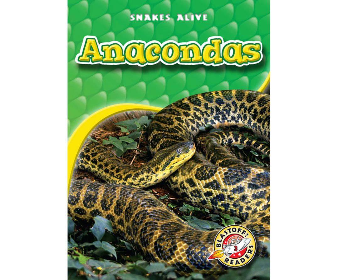 Anacondas