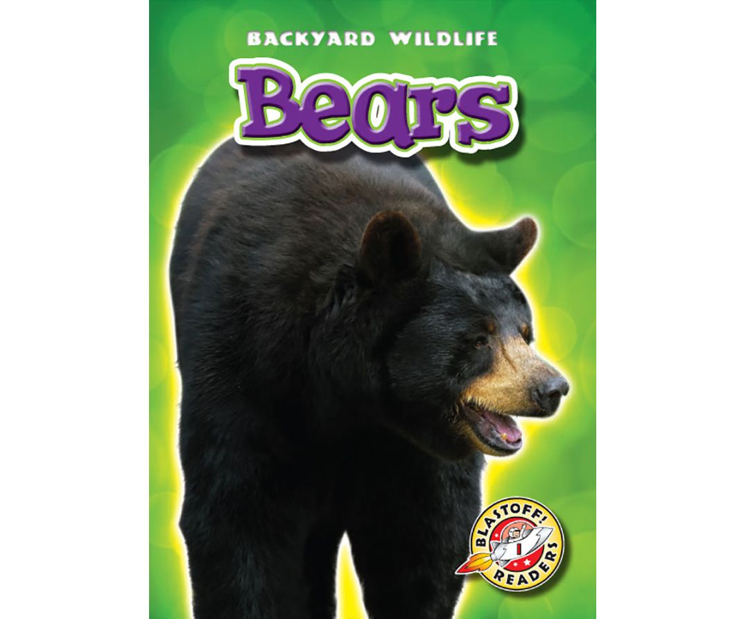 Bears