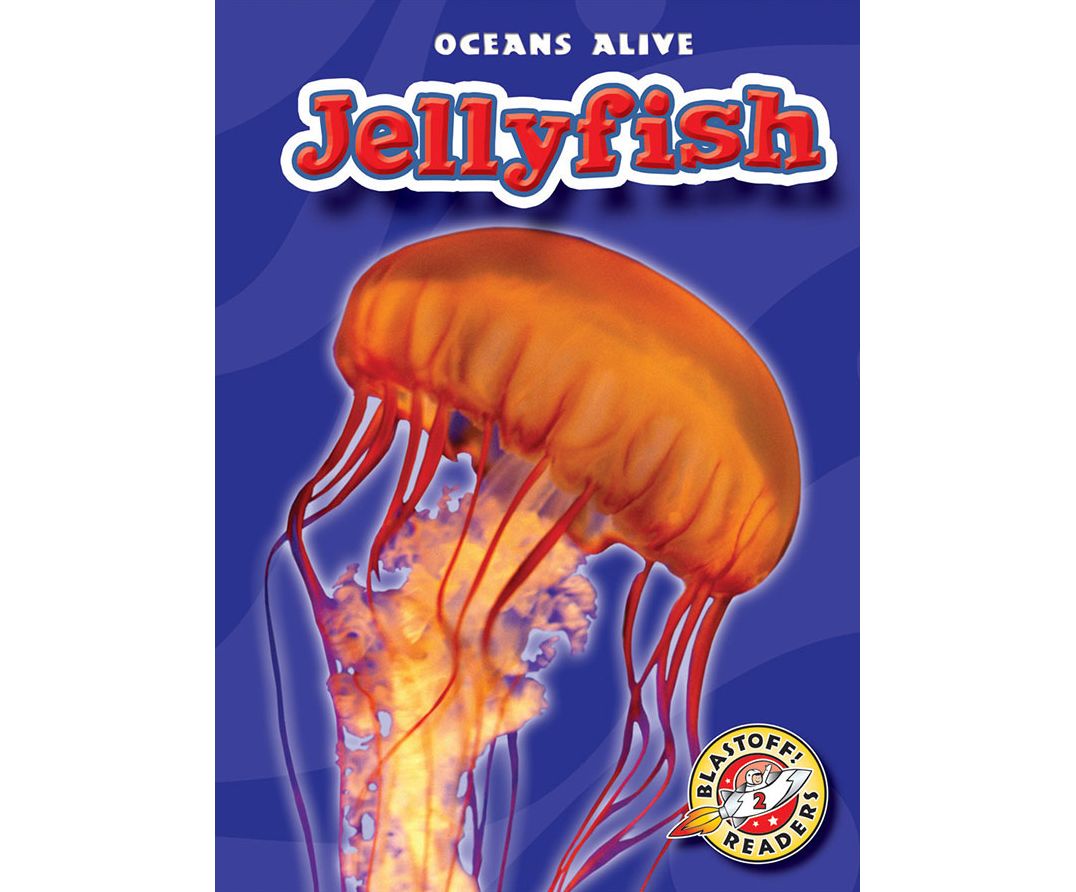 Jellyfish