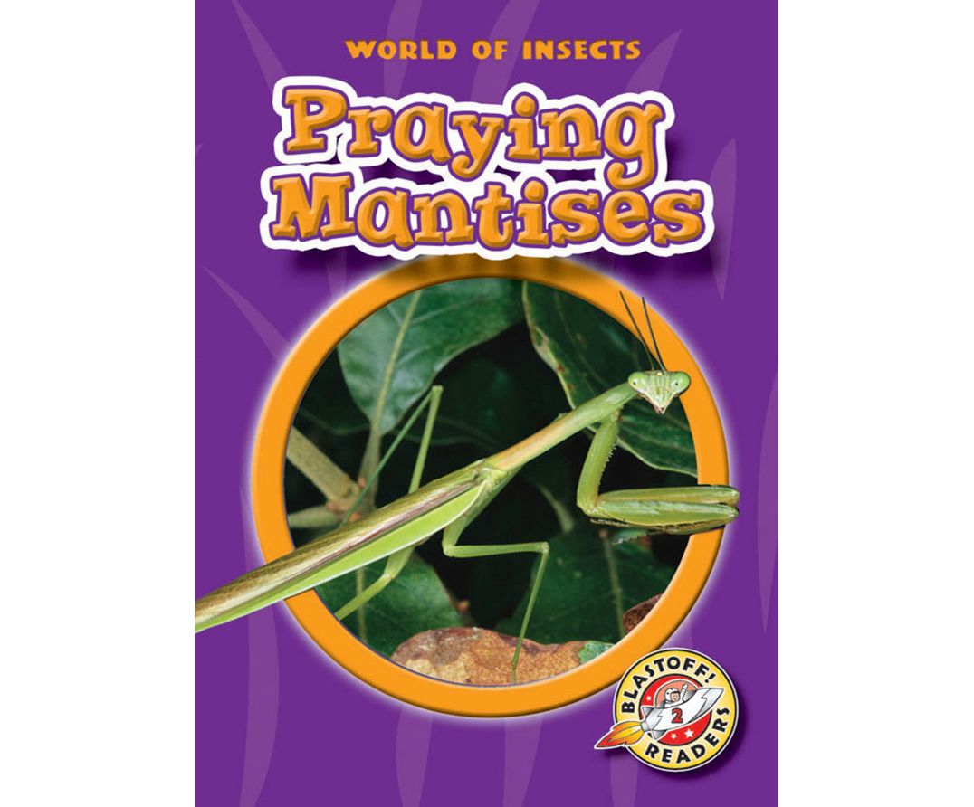 Praying Mantises