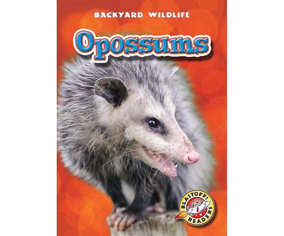Opossums