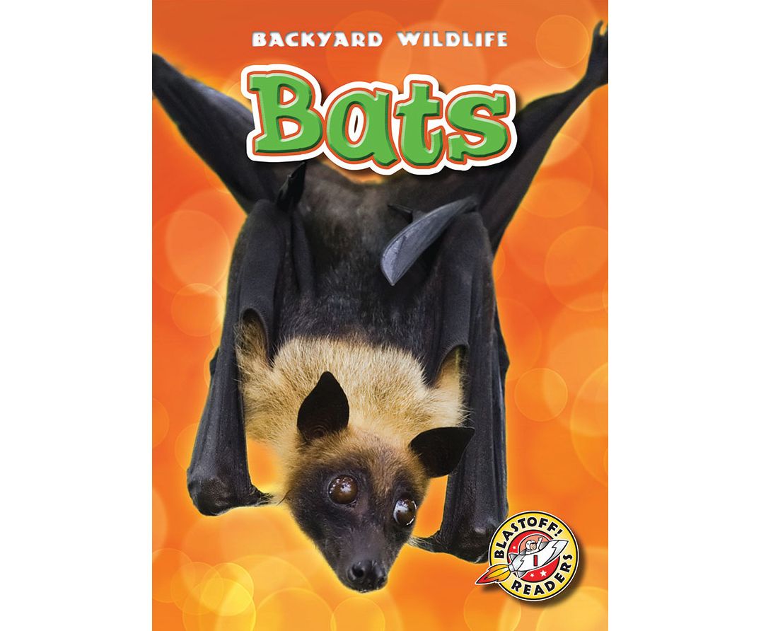 Bats