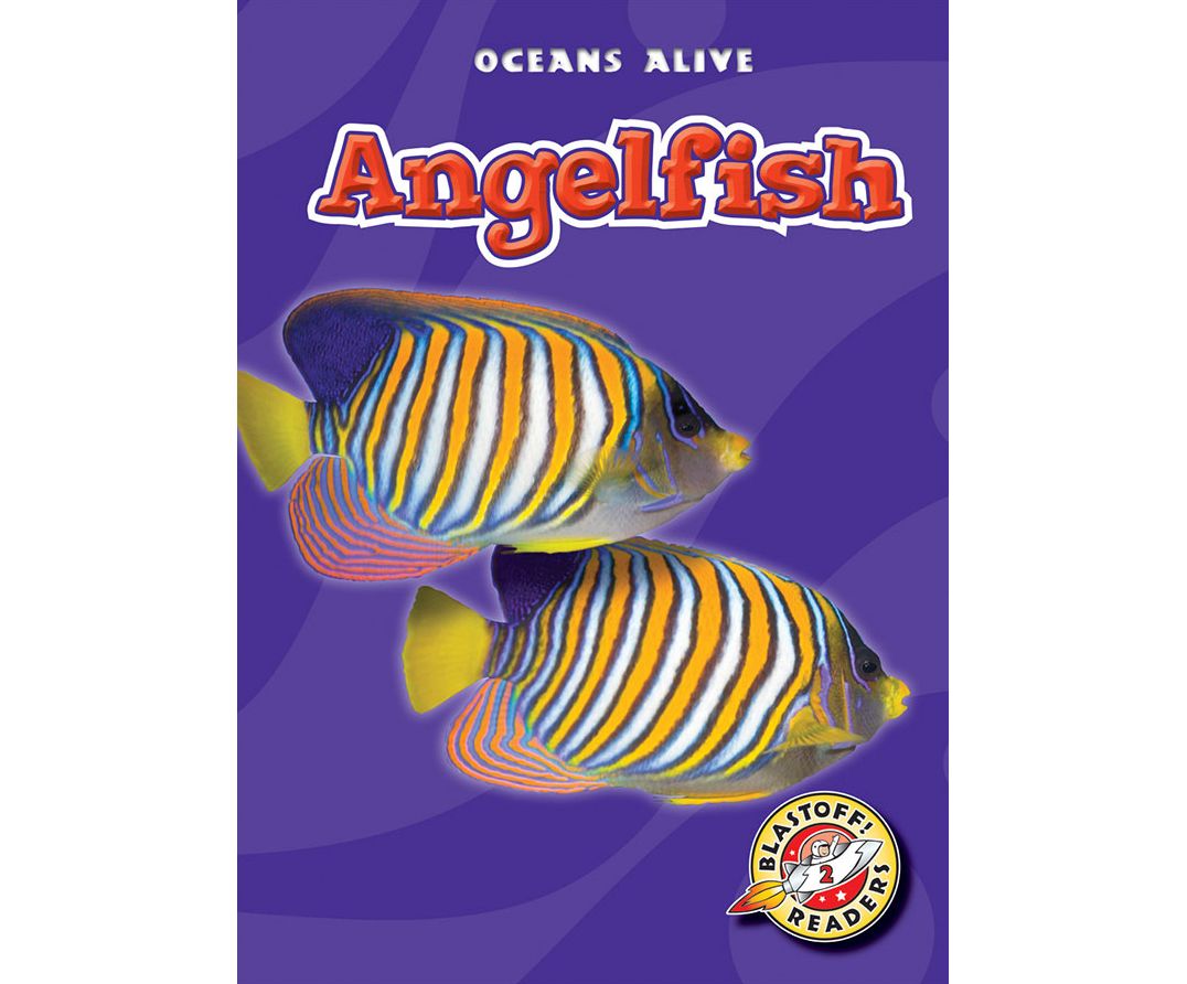 Angelfish