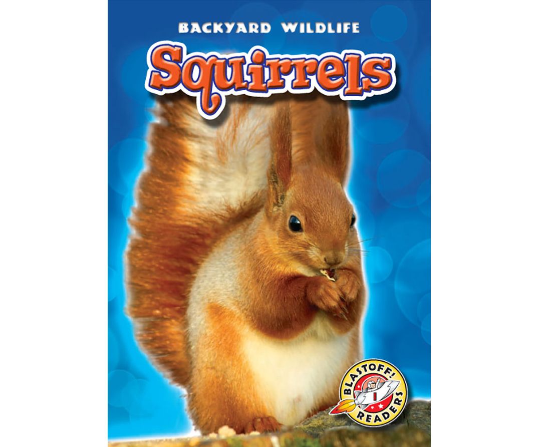 Squirrels