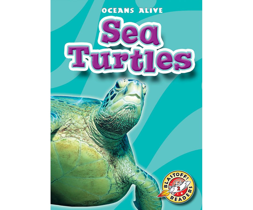 Sea Turtles