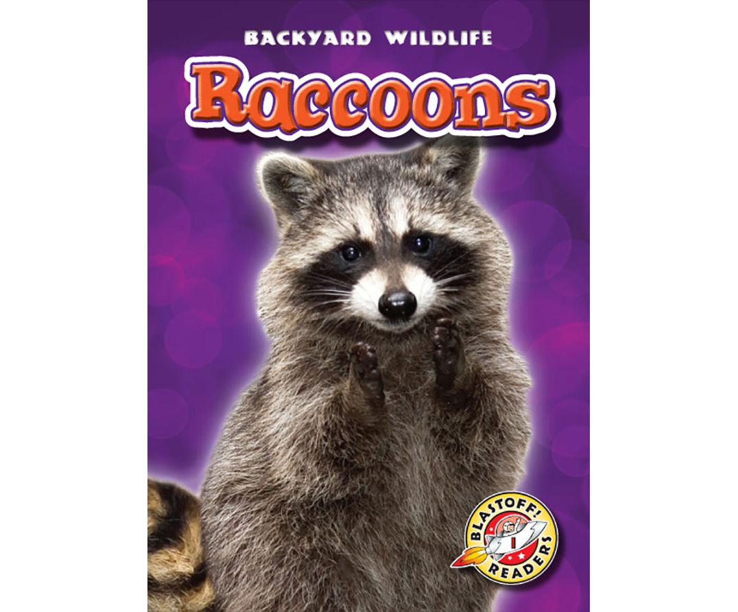 Raccoons