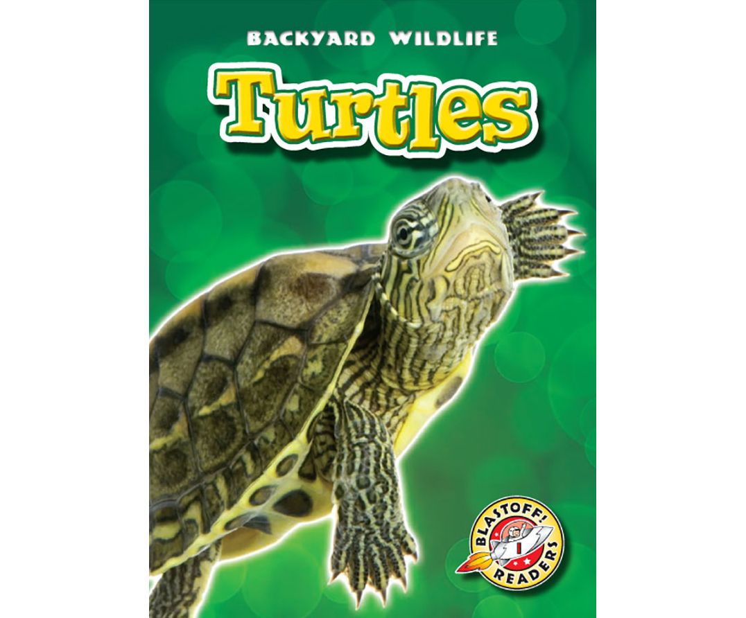Turtles