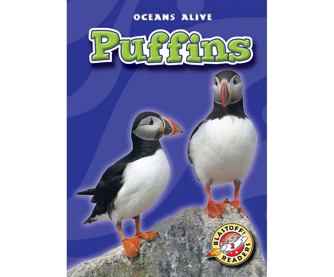 Puffins