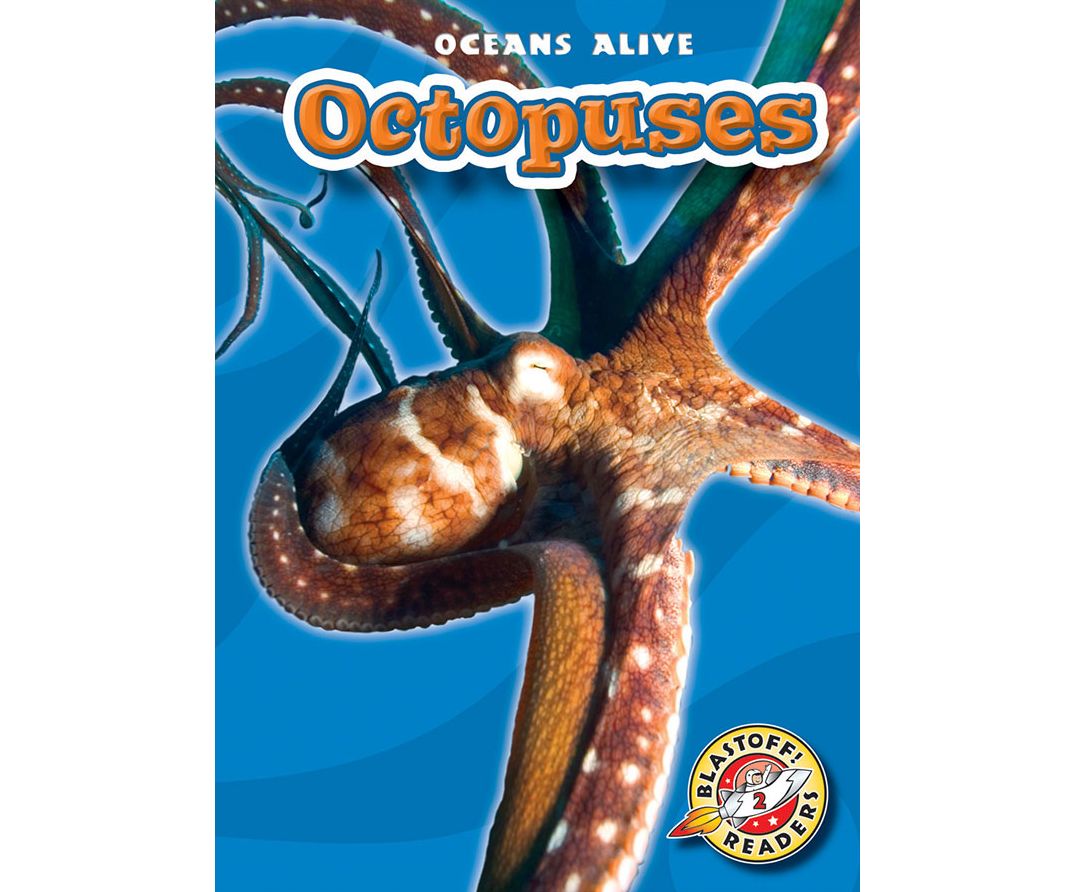 Octopuses