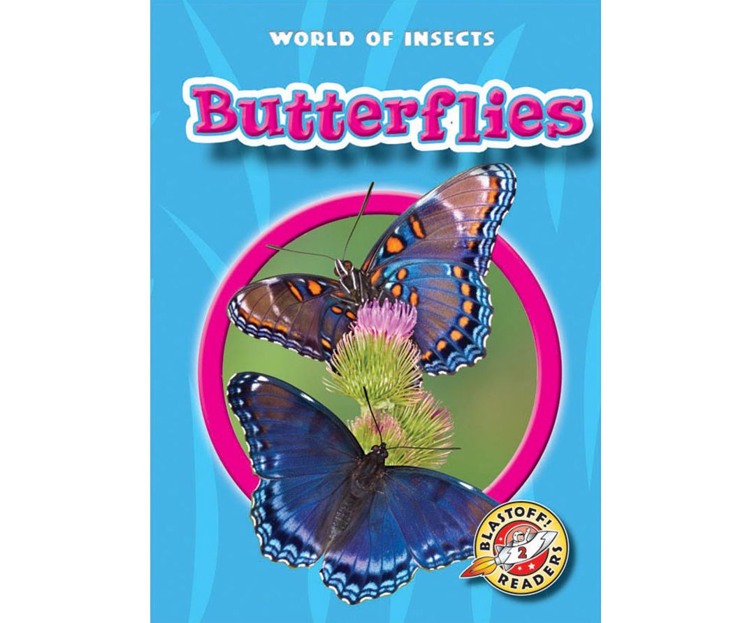 Butterflies