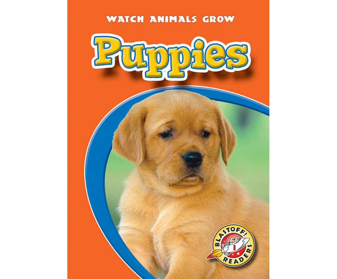 Puppies