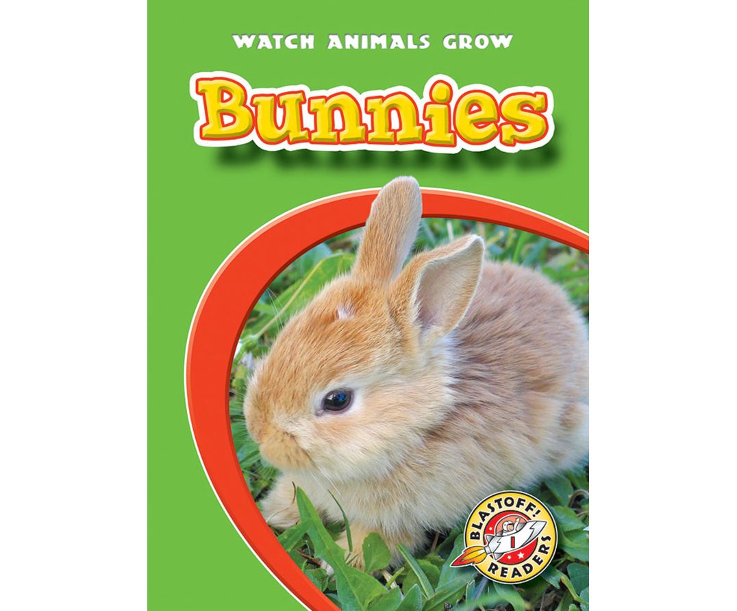 Bunnies