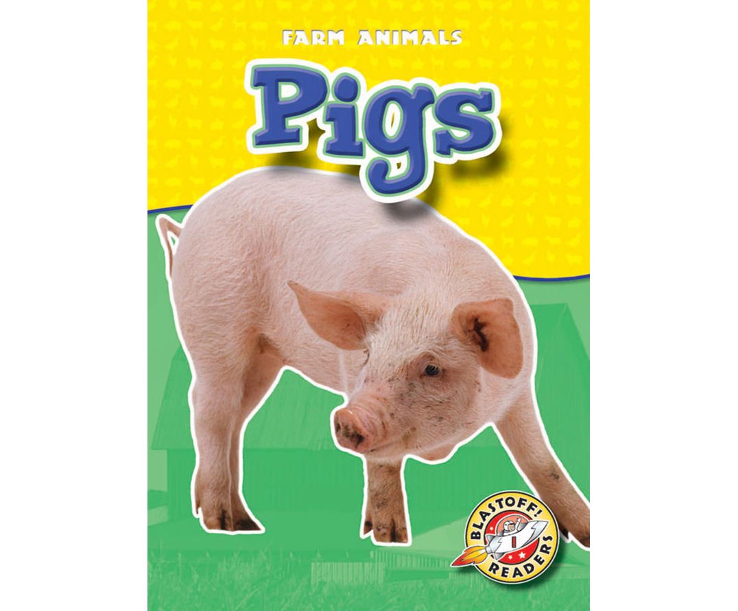 Pigs