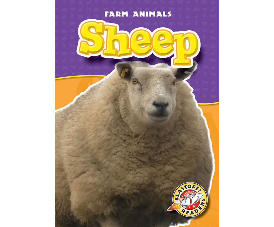 Sheep