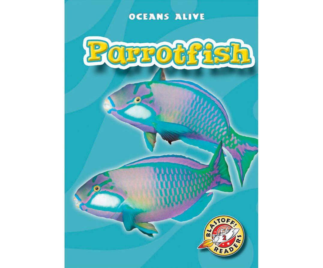 Parrotfish