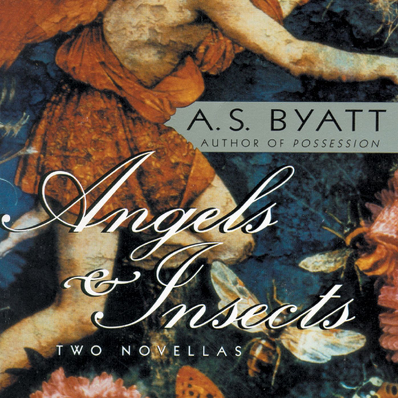 Angels & Insects