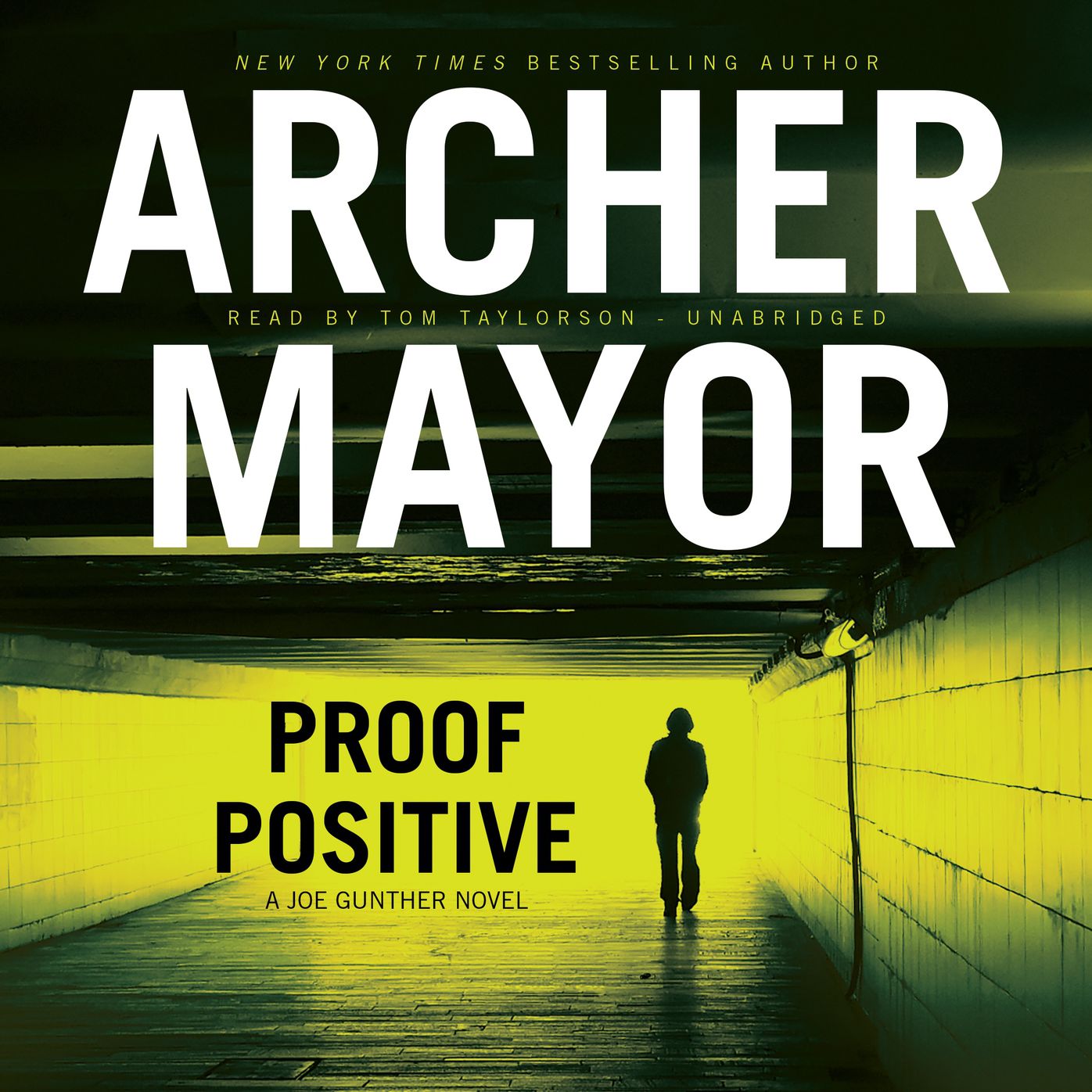 Proof Positive: A Joe Gunther Novel