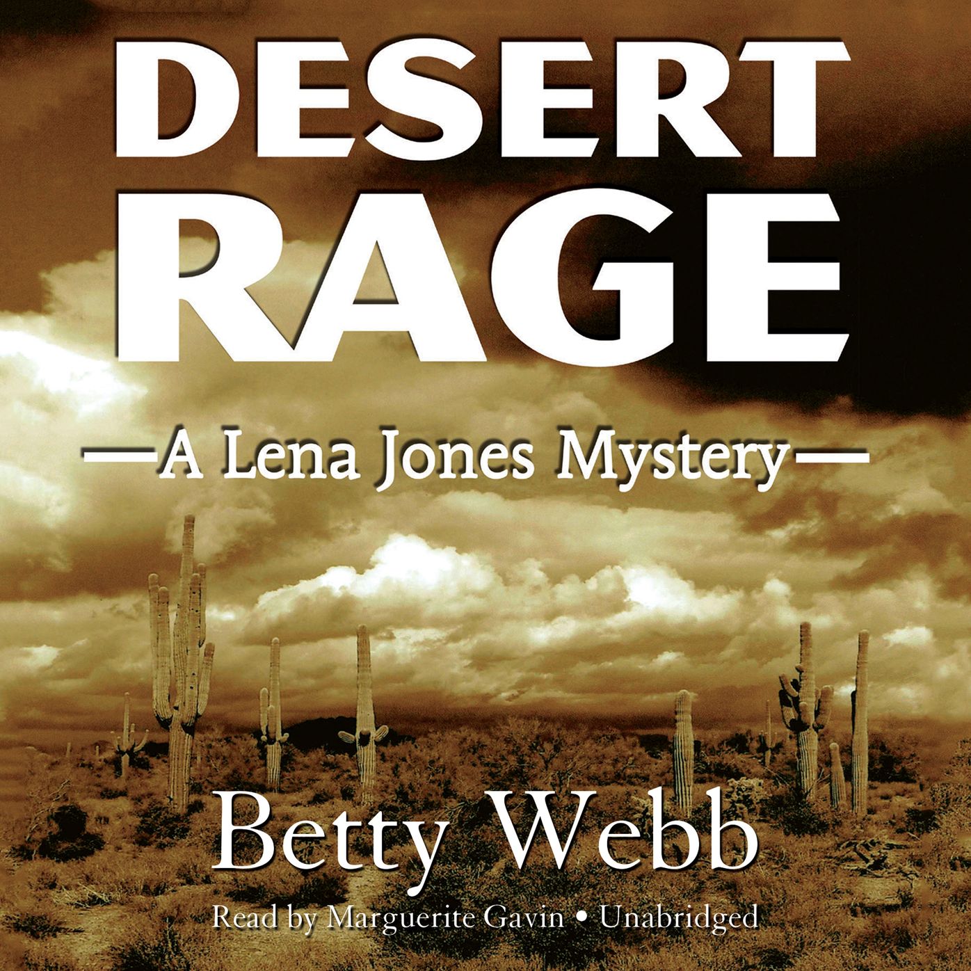 Desert Rage: A Lena Jones Mystery