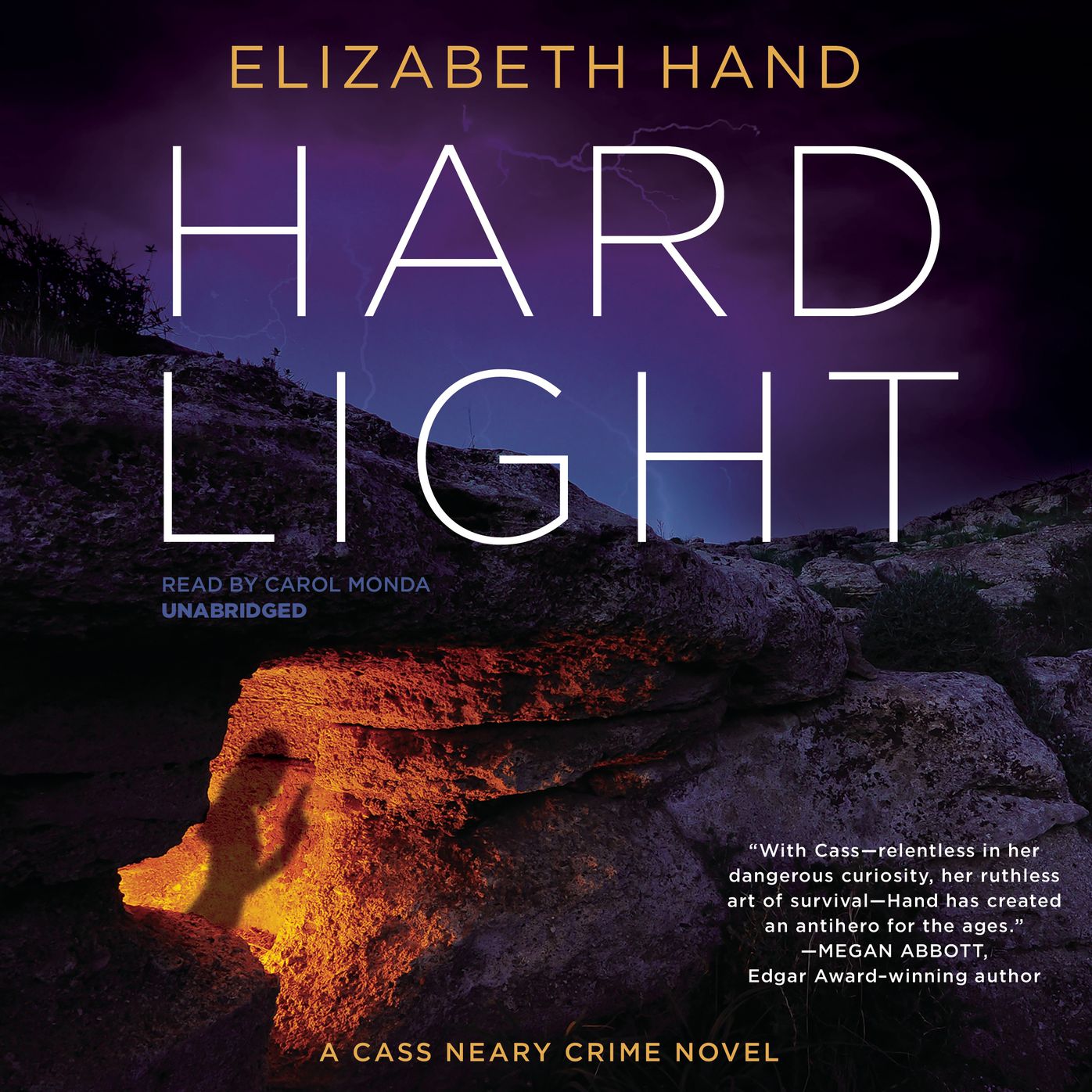 Hard Light: A Cass Neary Crime Novel