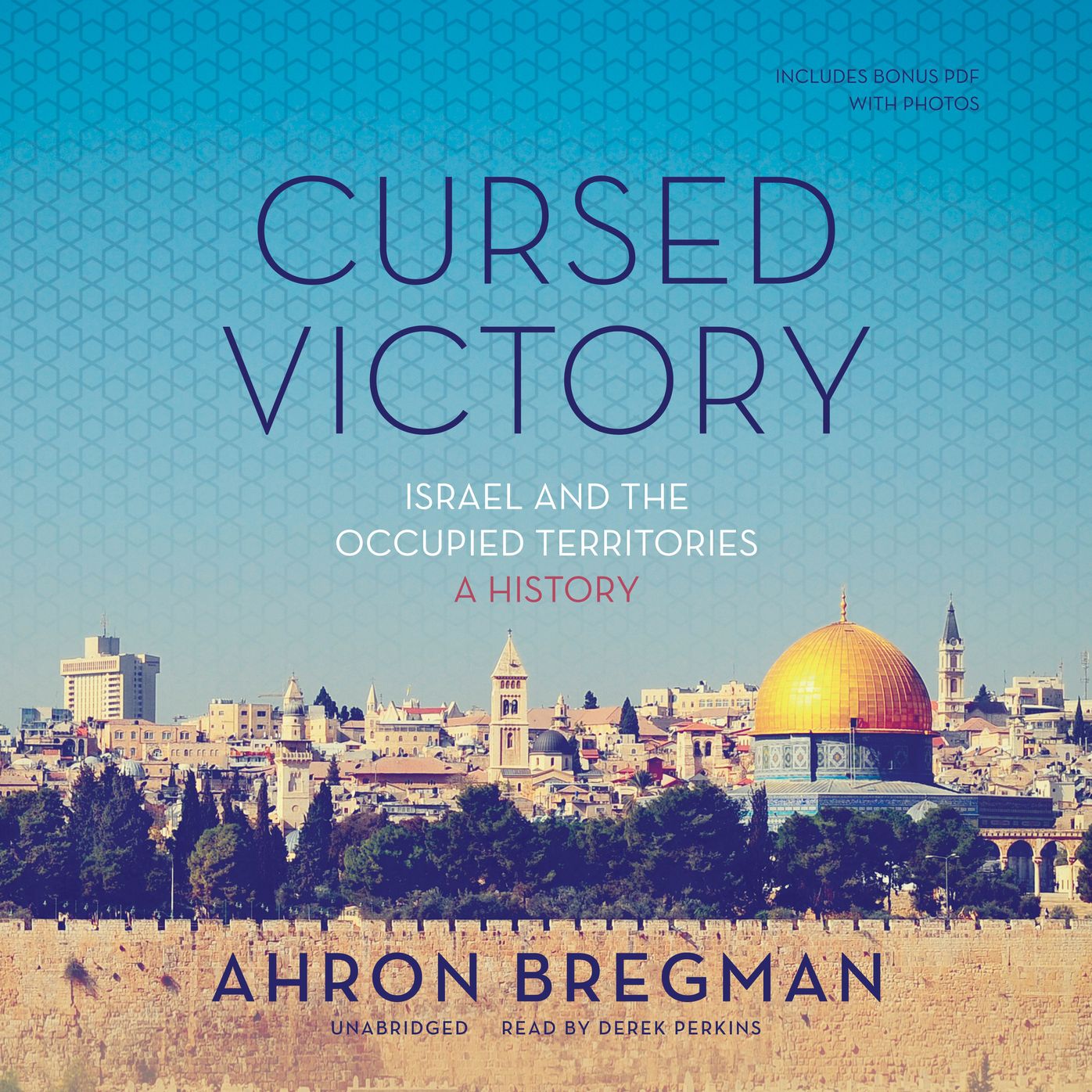 Cursed Victory: Israel and the Occupied Territories: a History