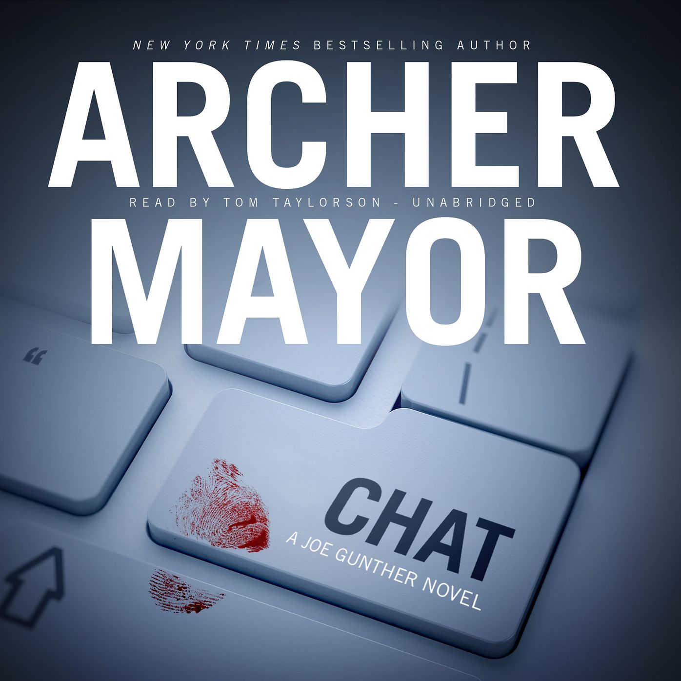 Chat: A Joe Gunther Novel