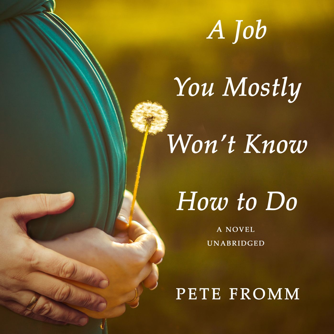 A Job You Mostly Won't Know How to Do: A Novel