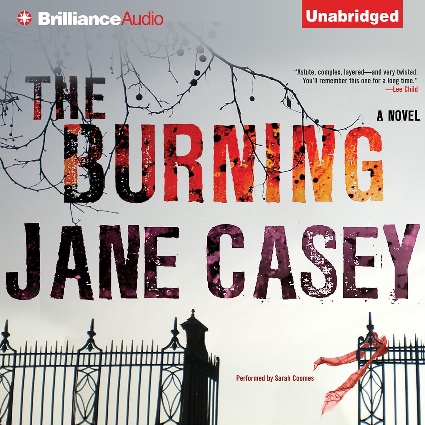 The Burning: A Novel