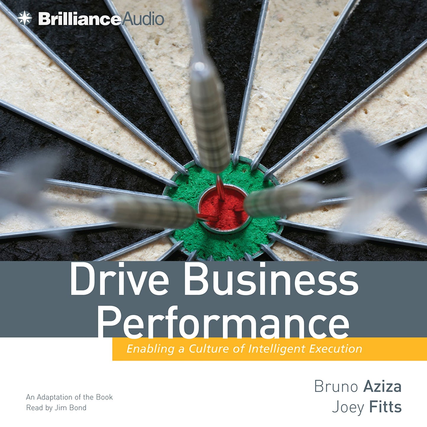 Drive Business Performance: Enabling a Culture of Intelligent Execution (Abridged)