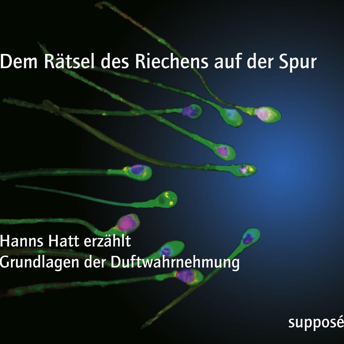 Dem Rätsel des Riechens auf der Spur: Hanns Hatt erzählt Grundlagen der Duftwahrnehmung (Abridged)
