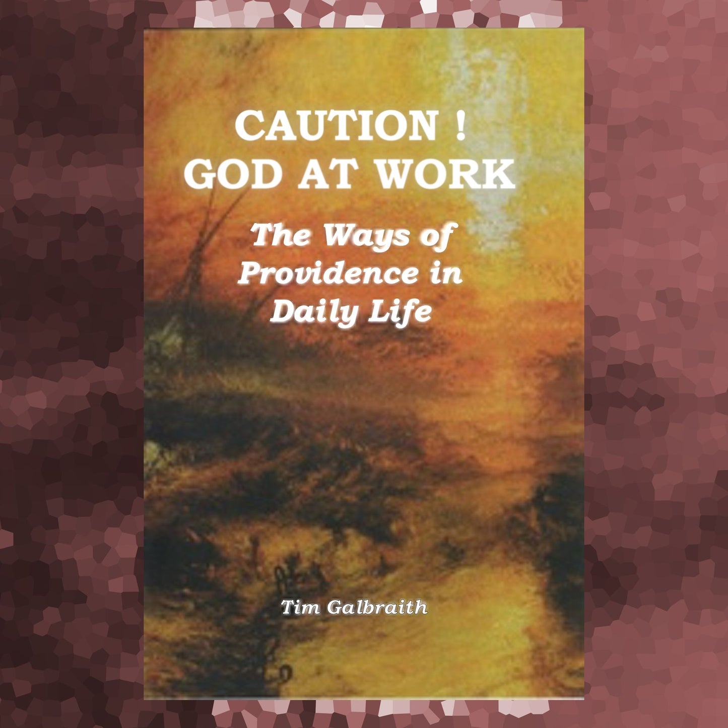 Caution! God at Work: The Ways of Providence in Daily Life