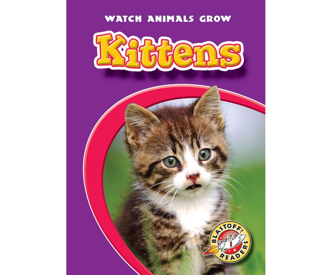 Kittens