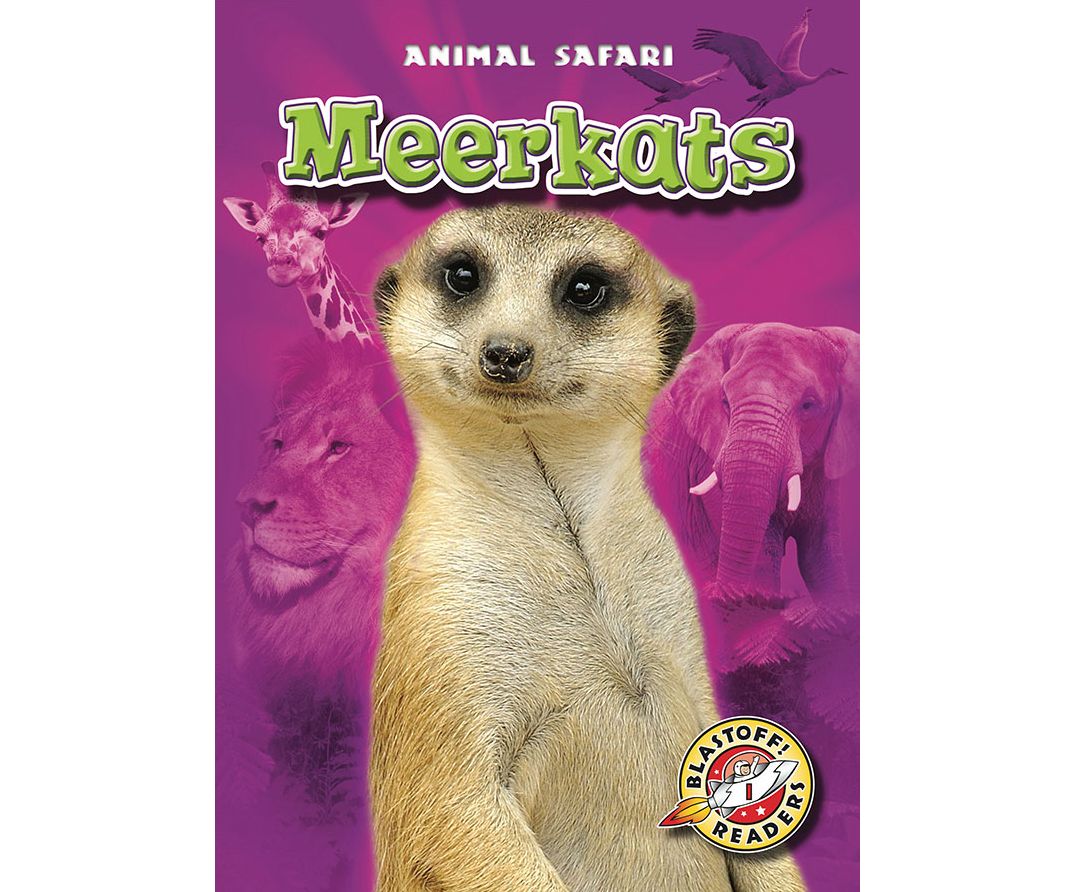 Meerkats