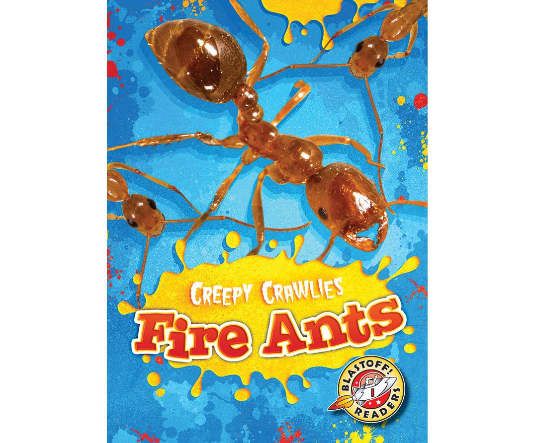 Fire Ants