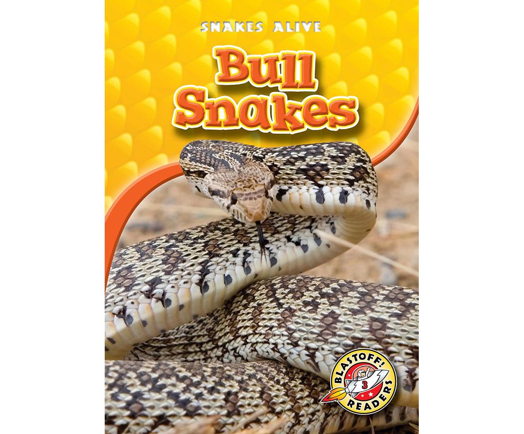 Bull Snakes: Blastoff! Readers: Level 3