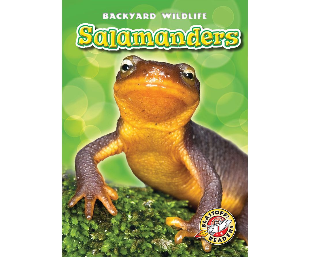 Salamanders