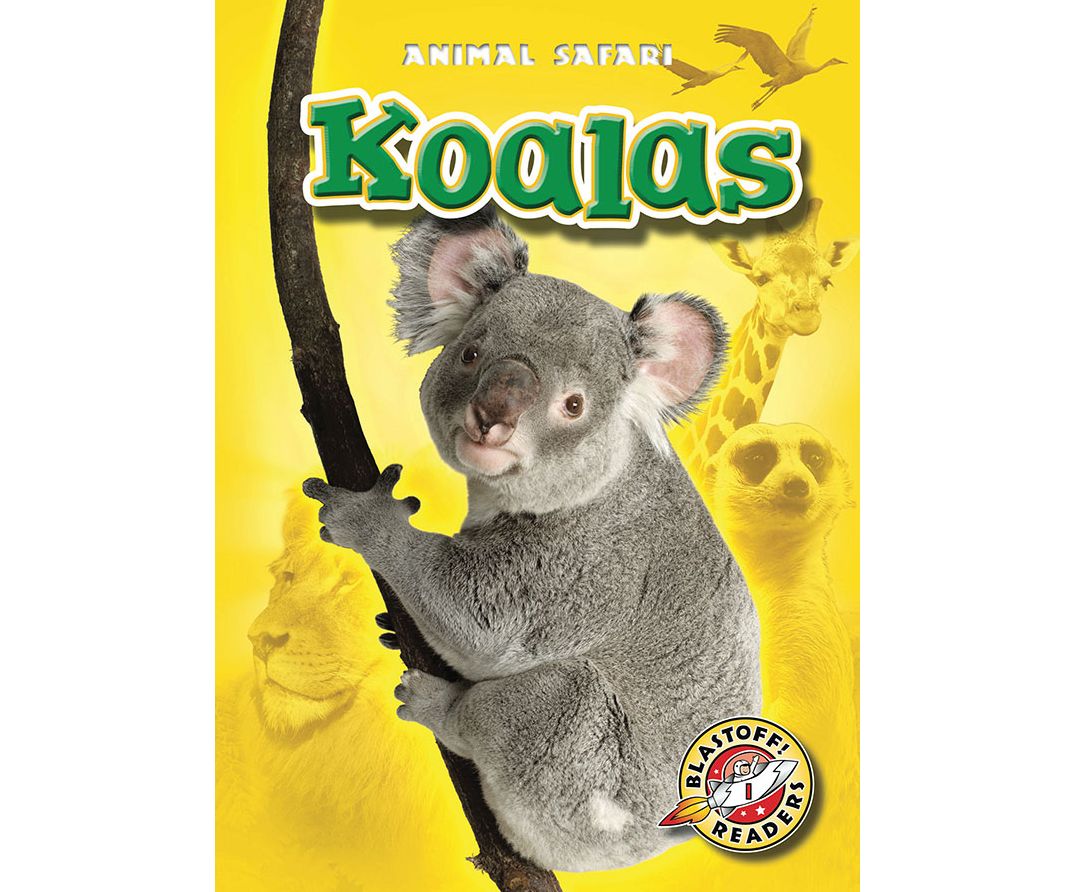 Koalas