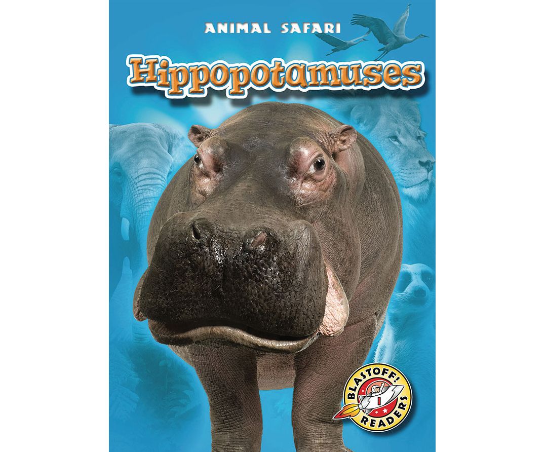 Hippopotamuses