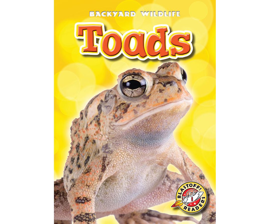 Toads