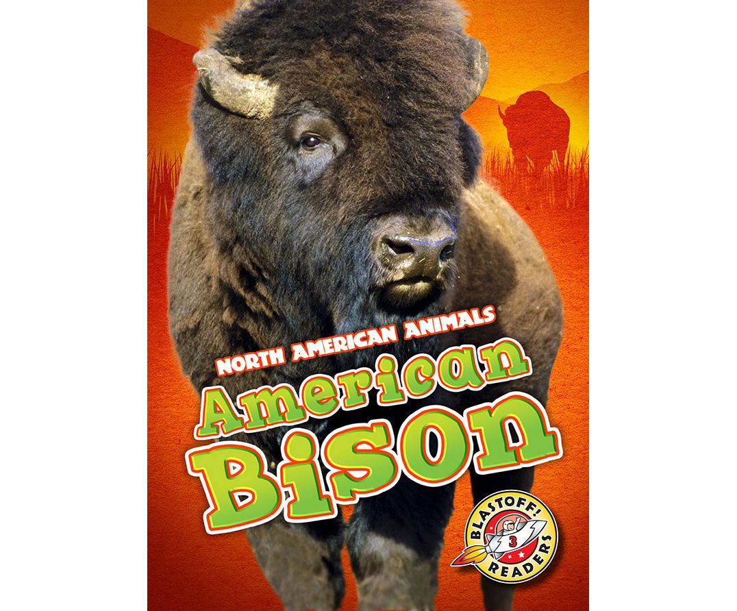 American Bison: Blastoff! Readers: Level 3