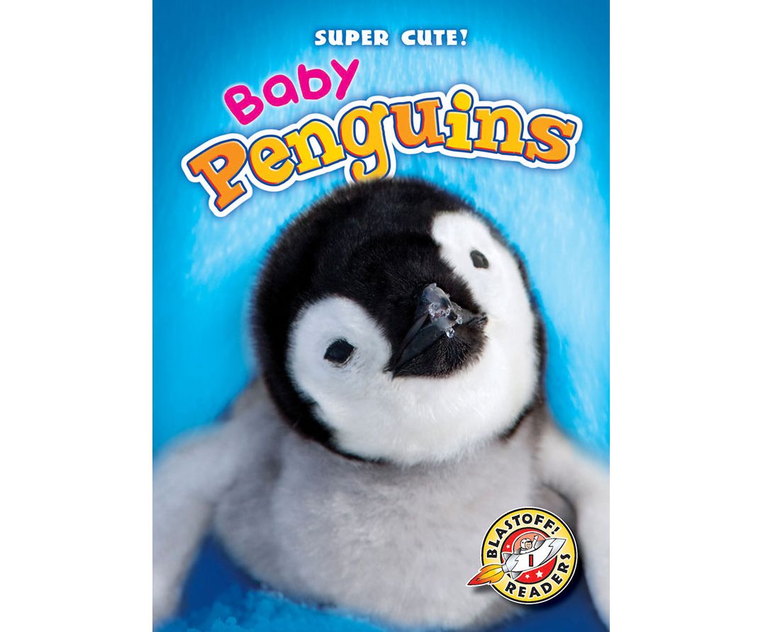 Baby Penguins