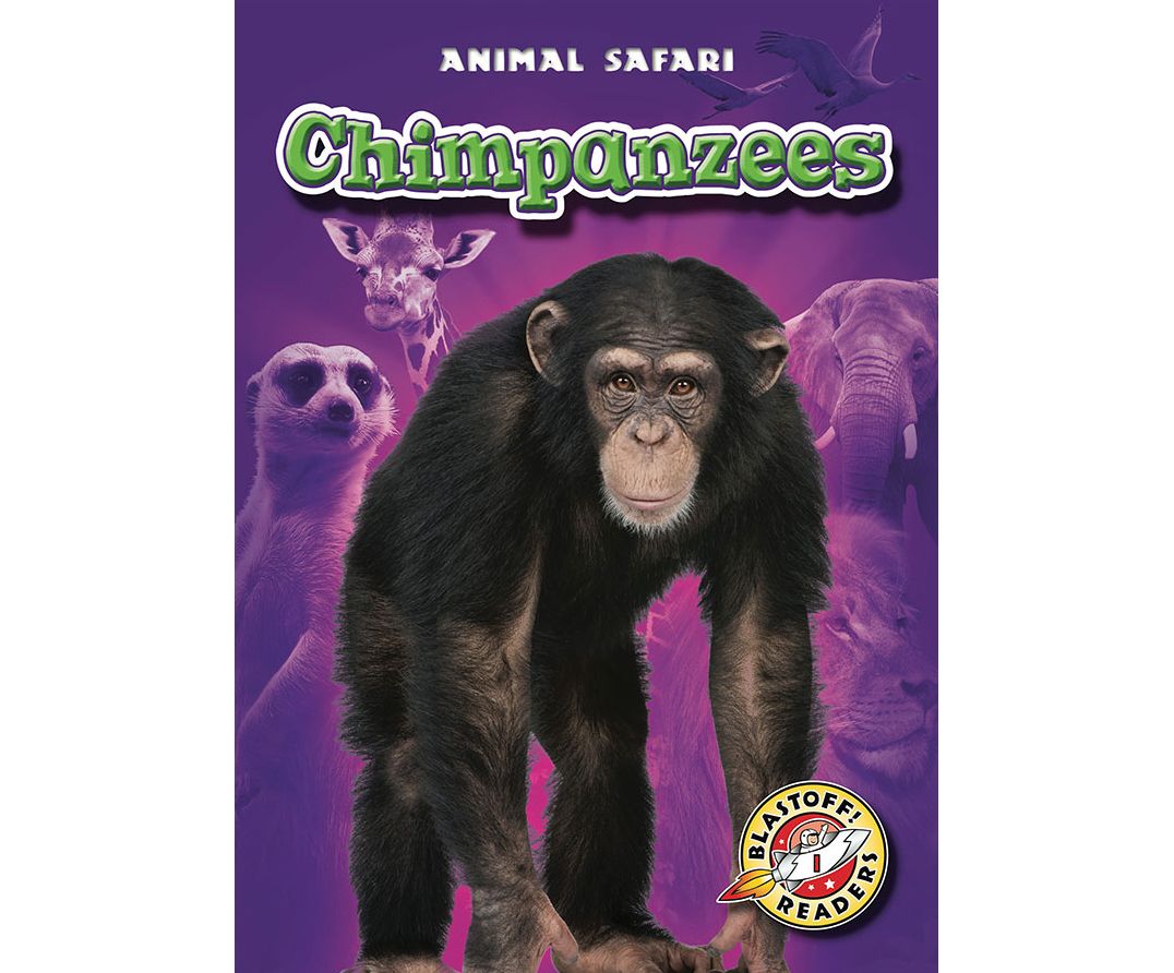 Chimpanzees