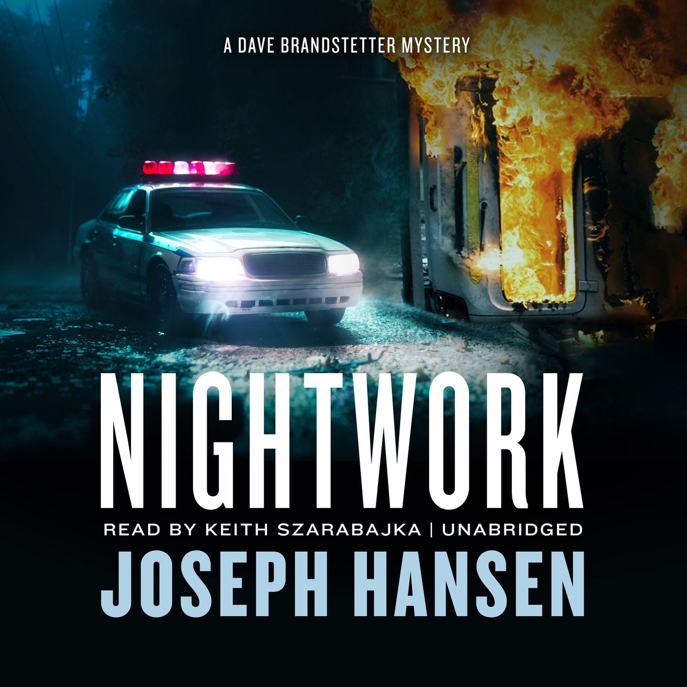 Nightwork: A Dave Brandstetter Mystery