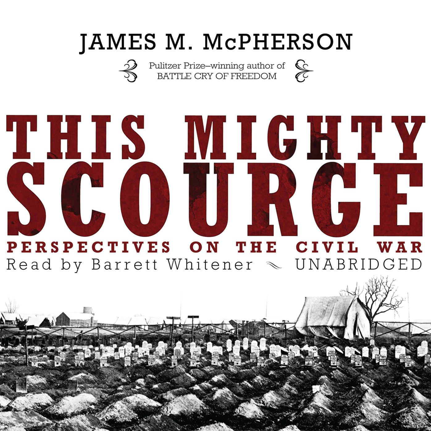This Mighty Scourge: Perspectives on the Civil War
