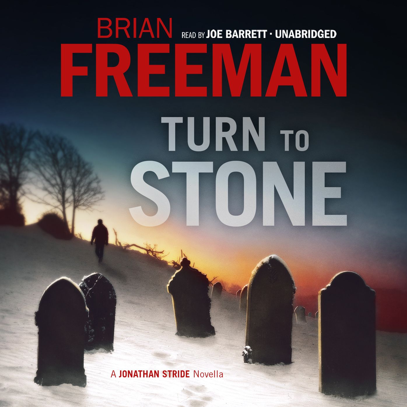 Turn to Stone: A Jonathan Stride Novella