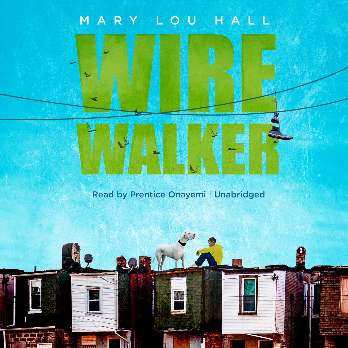 Wirewalker