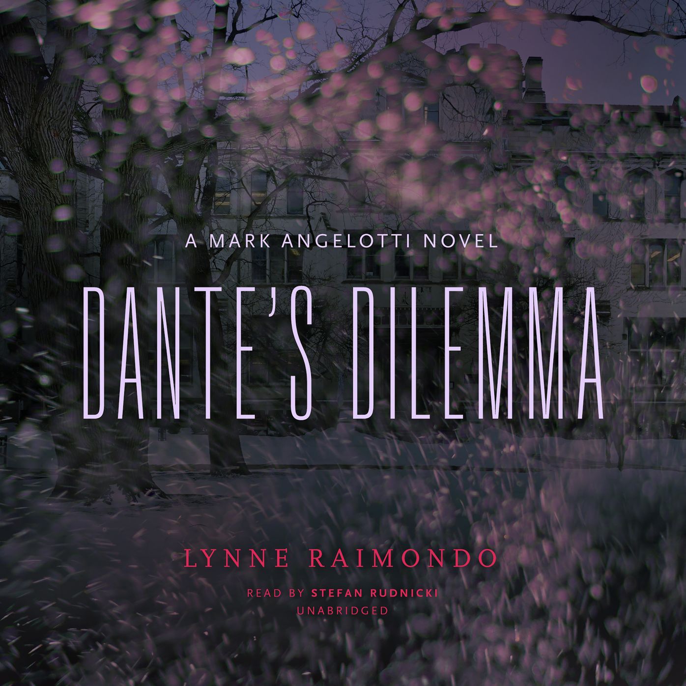 Dante's Dilemma: A Mark Angelotti Novel