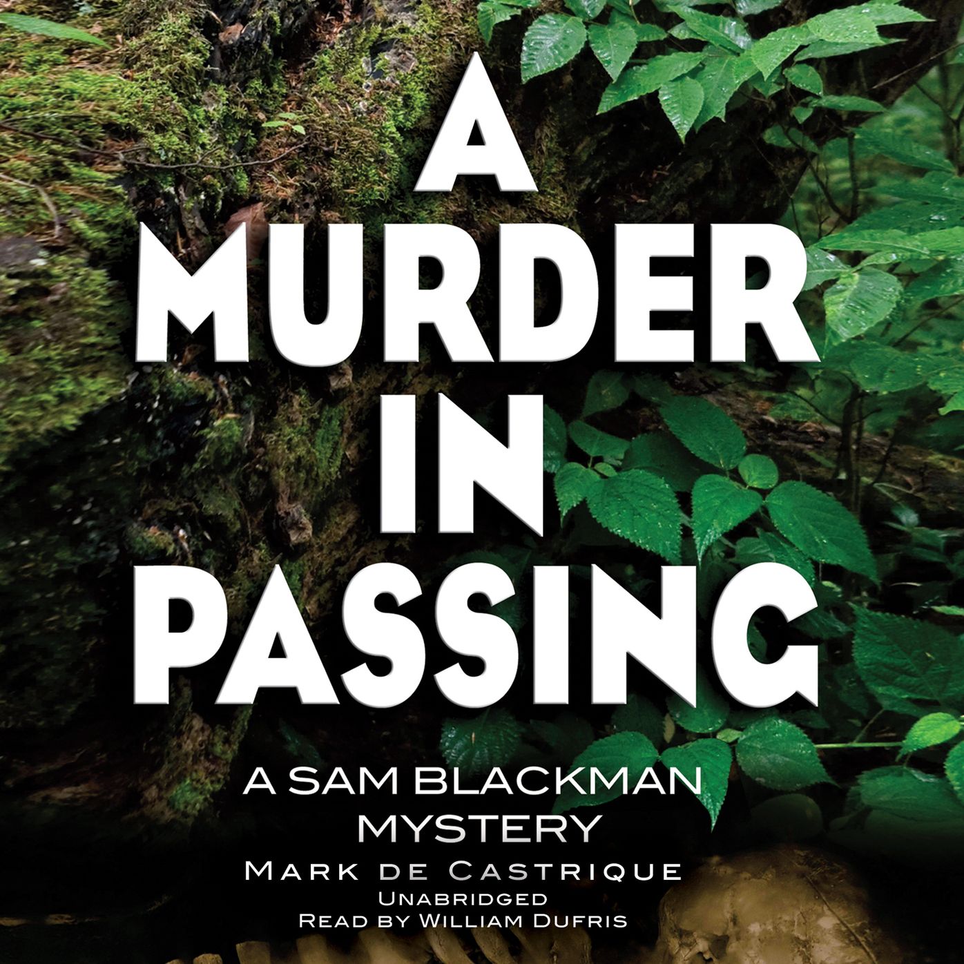 A Murder in Passing: A Sam Blackman Mystery