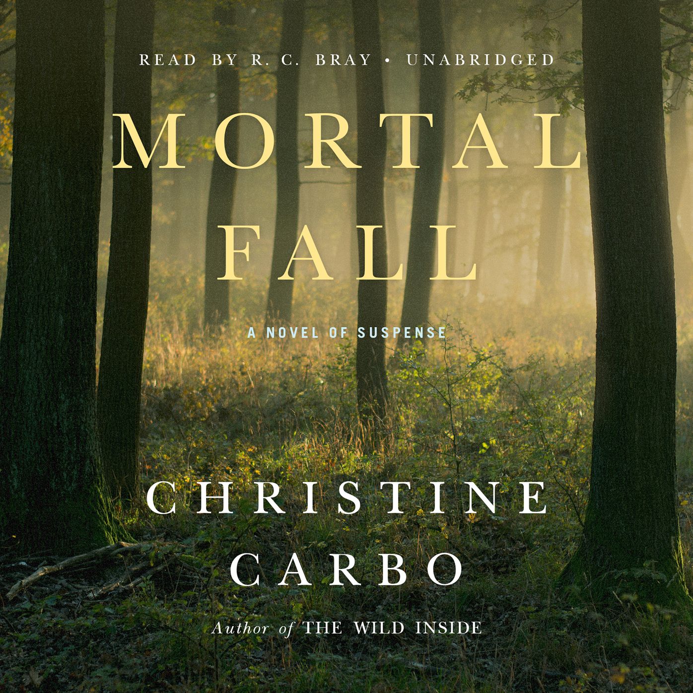Mortal Fall: A Novel of Suspense